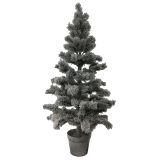 120cm Pinetree