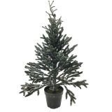 90CM PINE TREE